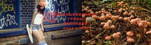 амфетамин Белокуриха