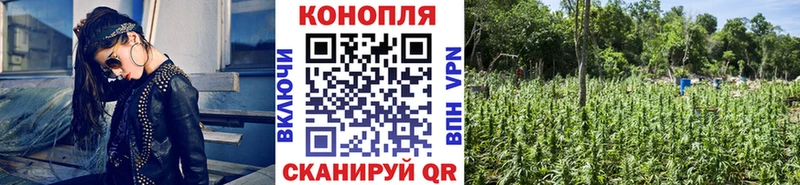 Бошки Шишки сатива  ОМГ ОМГ ССЫЛКА  Омск 